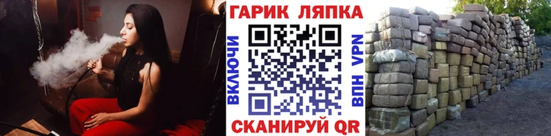 как найти закладки  Новохопёрск  Гашиш Изолятор 