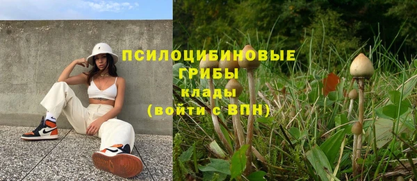 mix Богородск