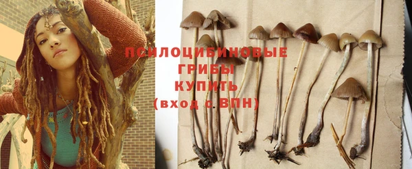 твердый Семилуки