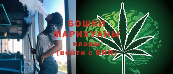 МДПВ Семёнов