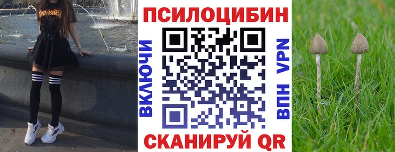 Псилоцибиновые грибы Psilocybe  Новохопёрск 